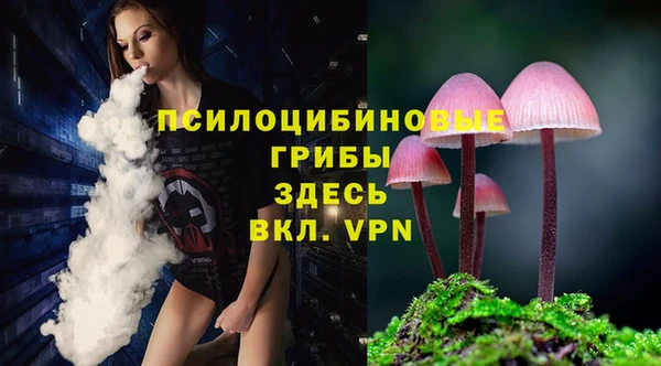 Альфа ПВП Аркадак