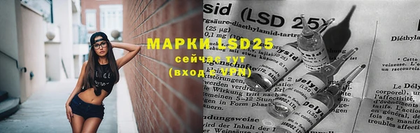 Альфа ПВП Аркадак