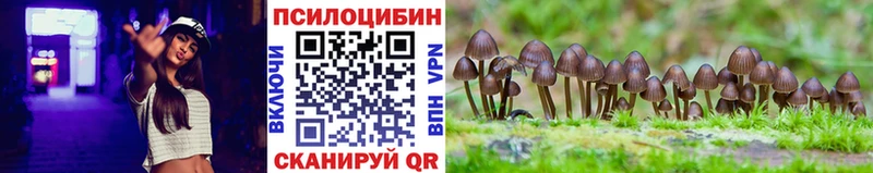 Галлюциногенные грибы мицелий  хочу   Зима 